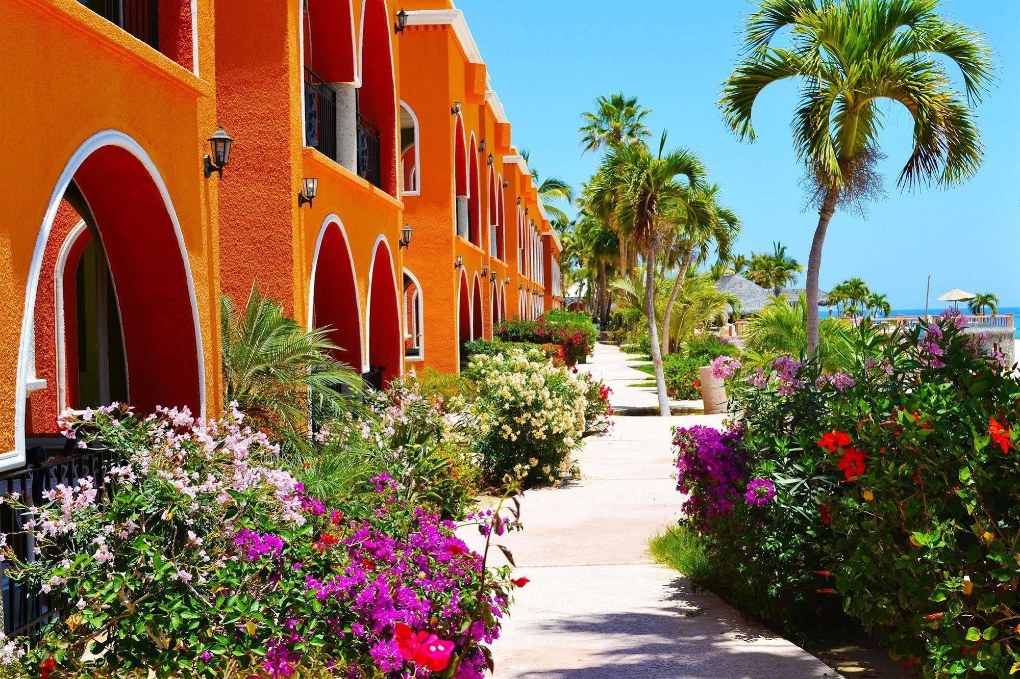Hotel Palmas De Cortez Los Barriles Eksteriør bilde